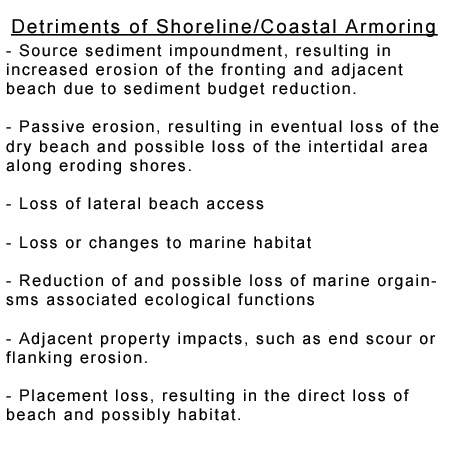 Coastal Armoring, Cons of Coastal Armoring